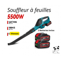 souffleur d'air électrique 5500W, haute puissance + 2 batteries