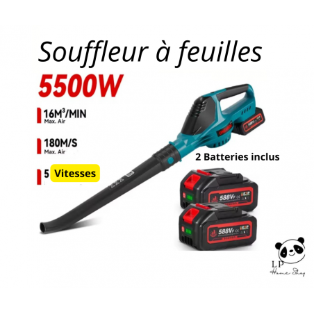 souffleur d'air électrique 5500W, haute puissance + 2 batteries