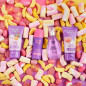 Coffret cadeau TULIPAN Negro Candy Fantasy