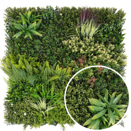 Mur végétal Botanic