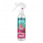 THE FRUIT COMPANY  Spray Désodorisant à la Pastèque 250ml