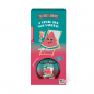 THE FRUIT COMPANY   Désodorisant Mikado Pastèque 40 ml