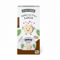 THE FRUIT COMPANY   Désodorisant Mikado Coco 40 ml