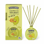 THE FRUIT COMPANY   Désodorisant Mikado melon 40 ml