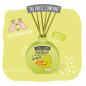 THE FRUIT COMPANY   Désodorisant Mikado melon 40 ml