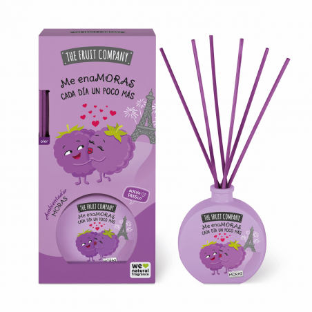 THE FRUIT COMPANY   Désodorisant Mikado Mure 40 ml
