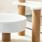 Arbre à chat à plusieurs niveaux avec griffoirs