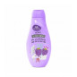 THE FRUIT COMPANY Gel douche Mures 600 ml