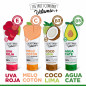 The Fruit Company Lotion pour le Corps Énergisante de Coco-Citron vert Body milk et lotions pour le corps 200 ml