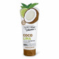 The Fruit Company Lotion pour le Corps Énergisante de Coco-Citron vert Body milk et lotions pour le corps 200 ml