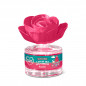 the fruit company Fleur Parfumée Pastèque  50 ml