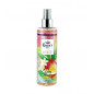 Brume corporelle  Chekky Mango 250 ml inspiration Fame Queen's by Prady 250ml