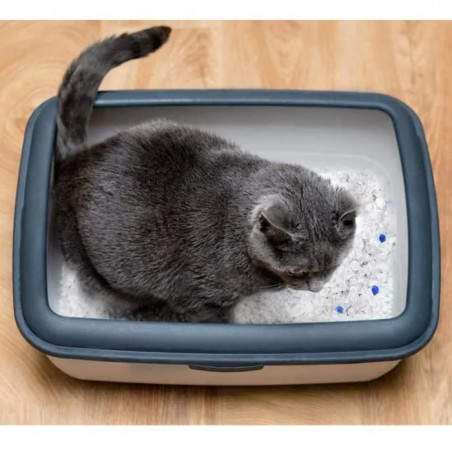 LITIERE Silice  Pour CHAT Éponge Diamond Gel  3.8L