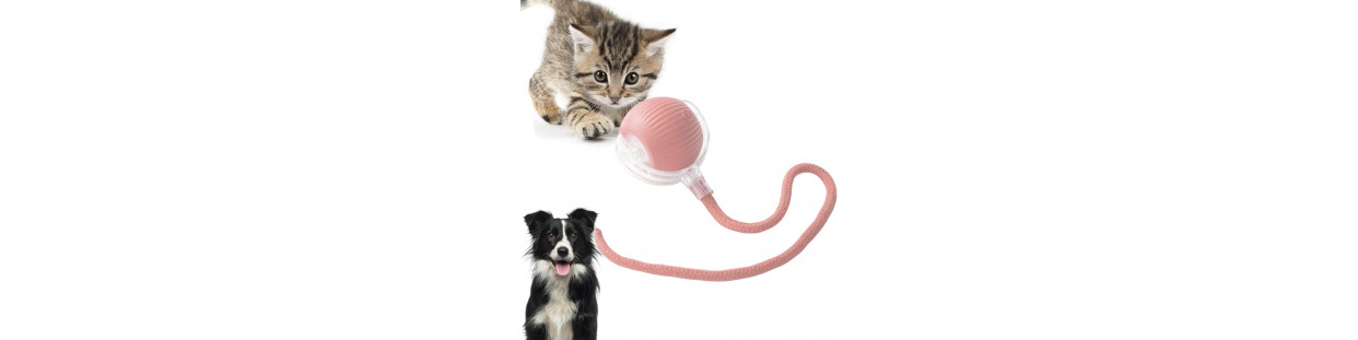 Jouet pour chat