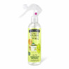 Spray Désodorisant intérieur
